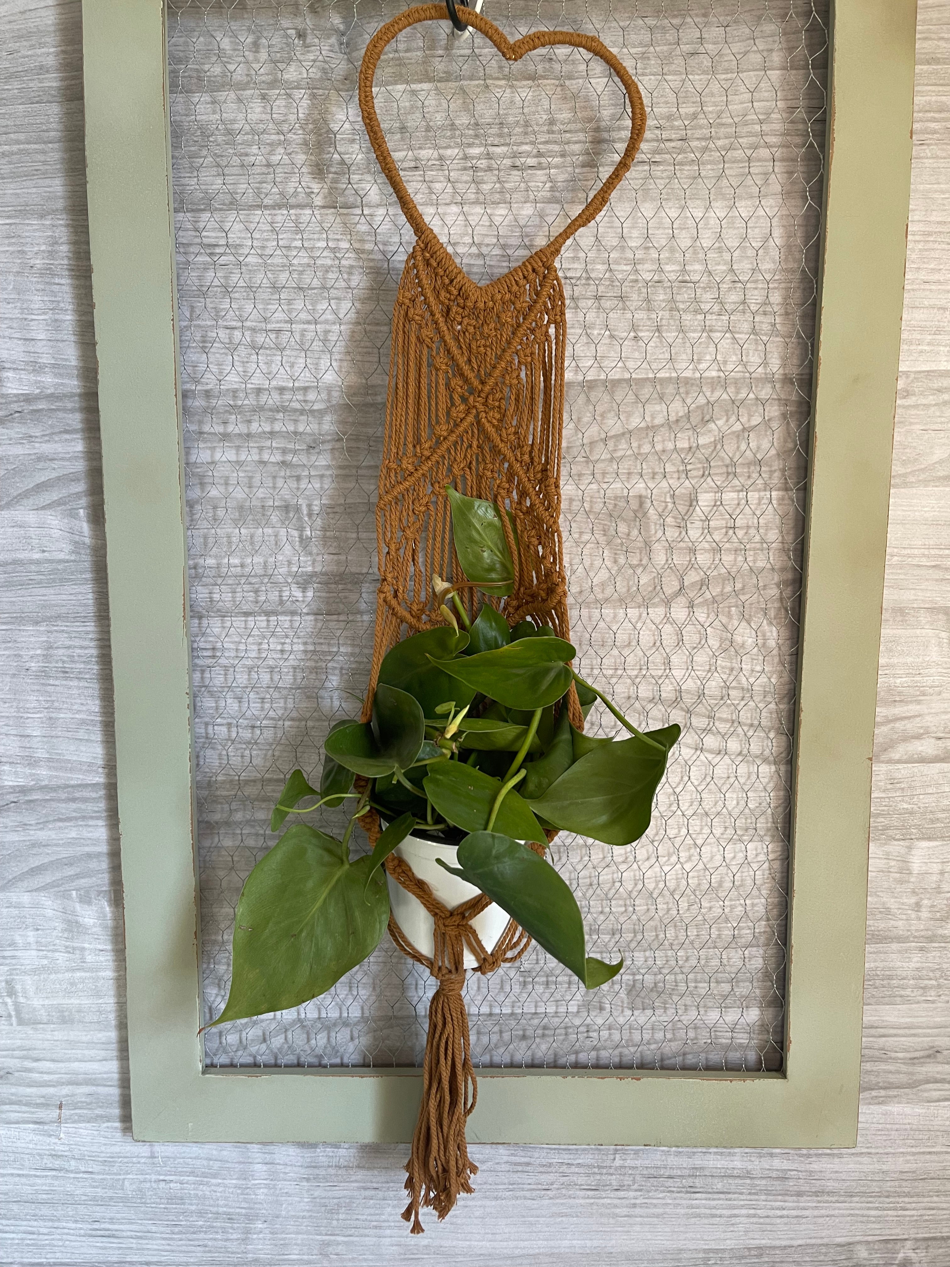 Large heart basket plant hanger