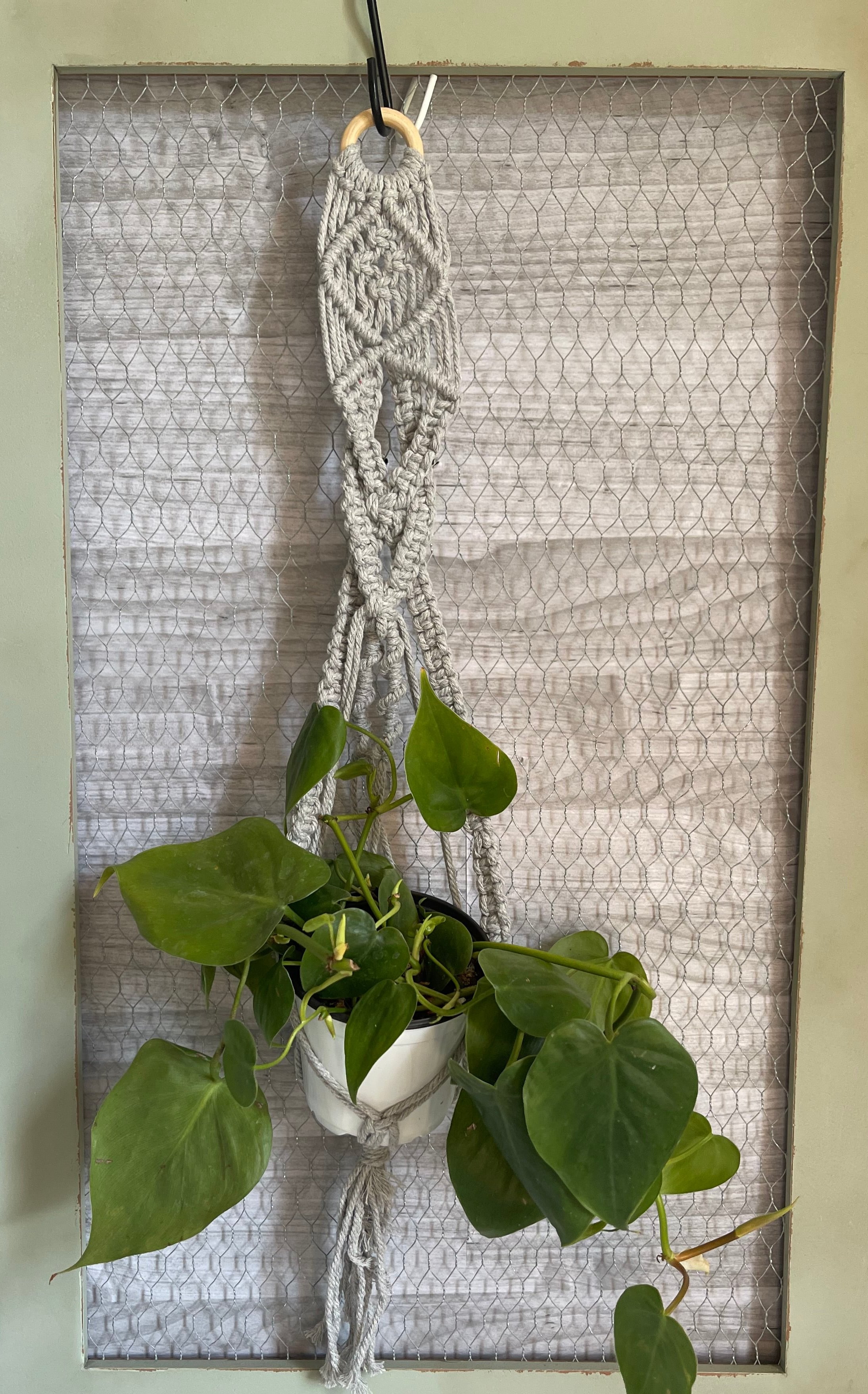 Large grey basket macrame hanger