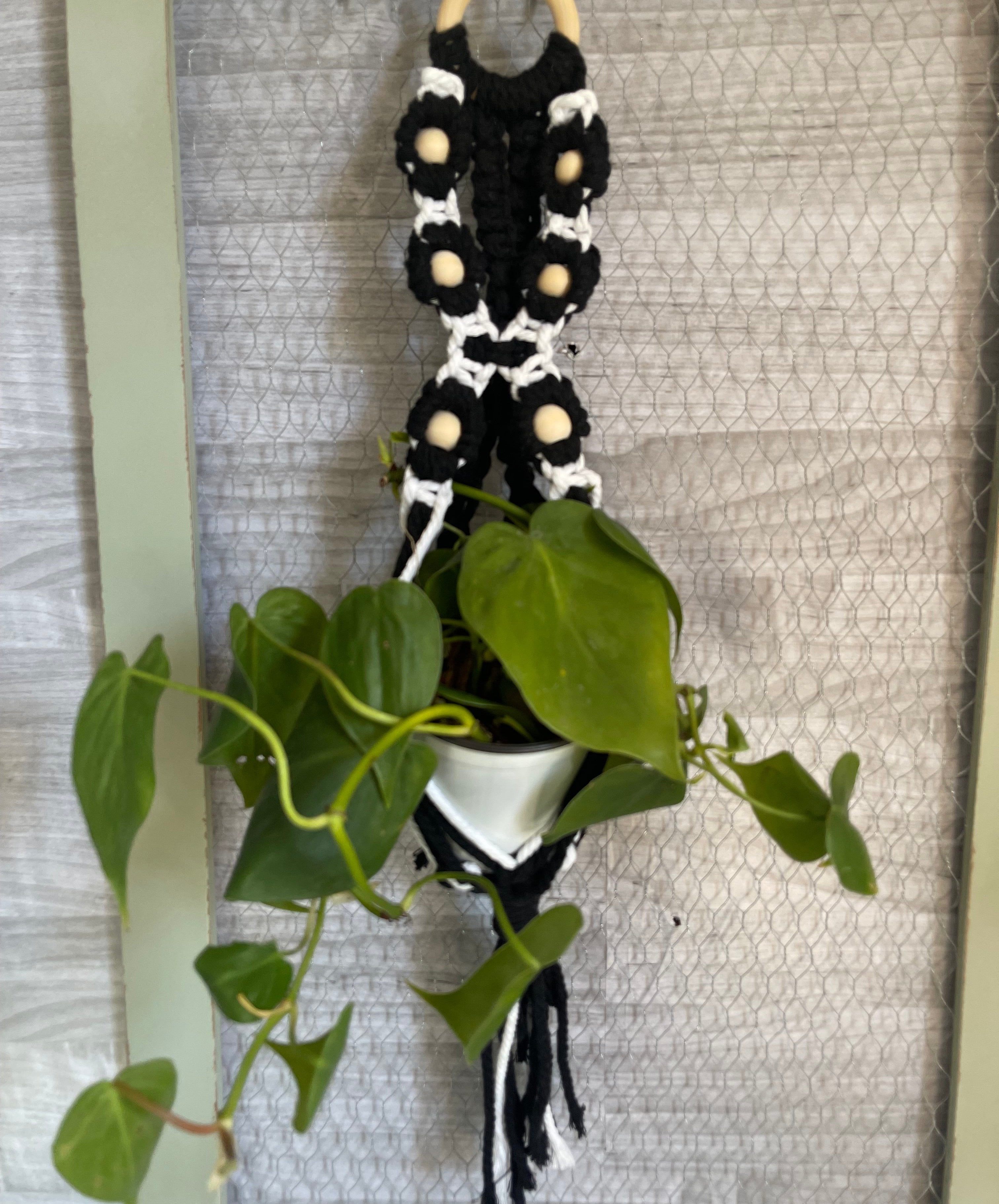 Medium black and white plant hanger