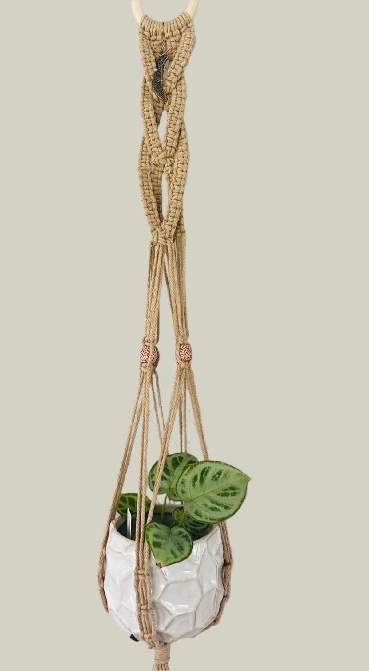 Infinity plant hanger