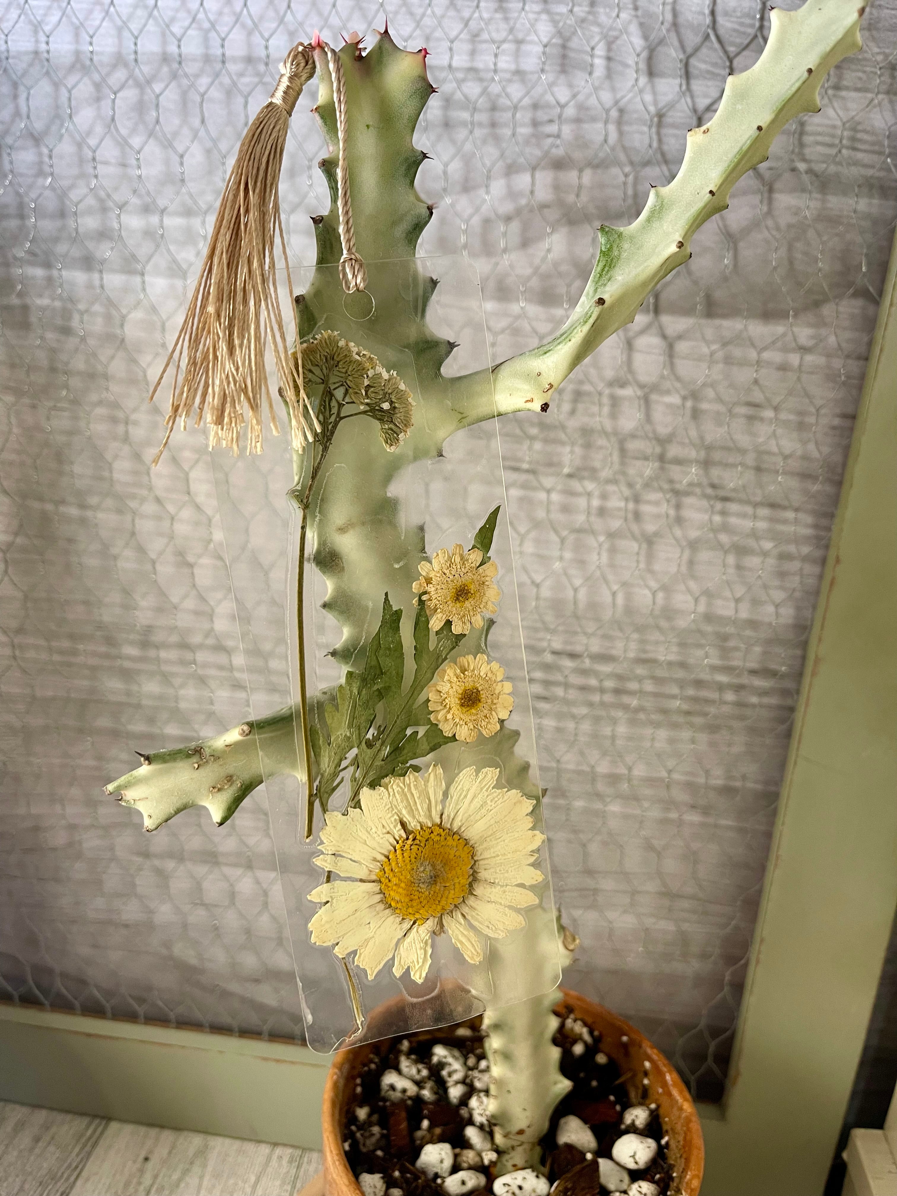 Pressed Daisy and Wildflower bookmark