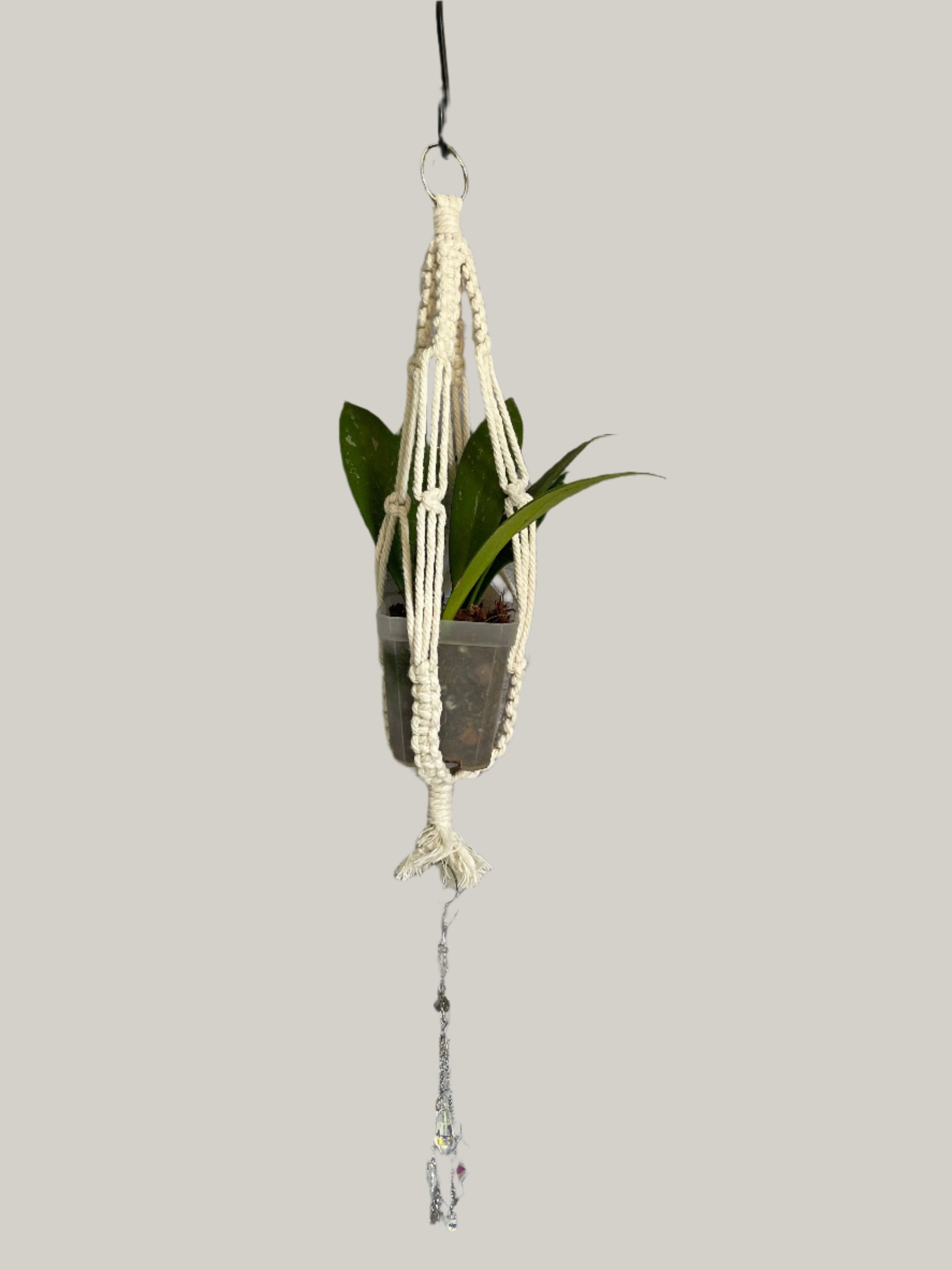Mini plant hanger with suncatcher