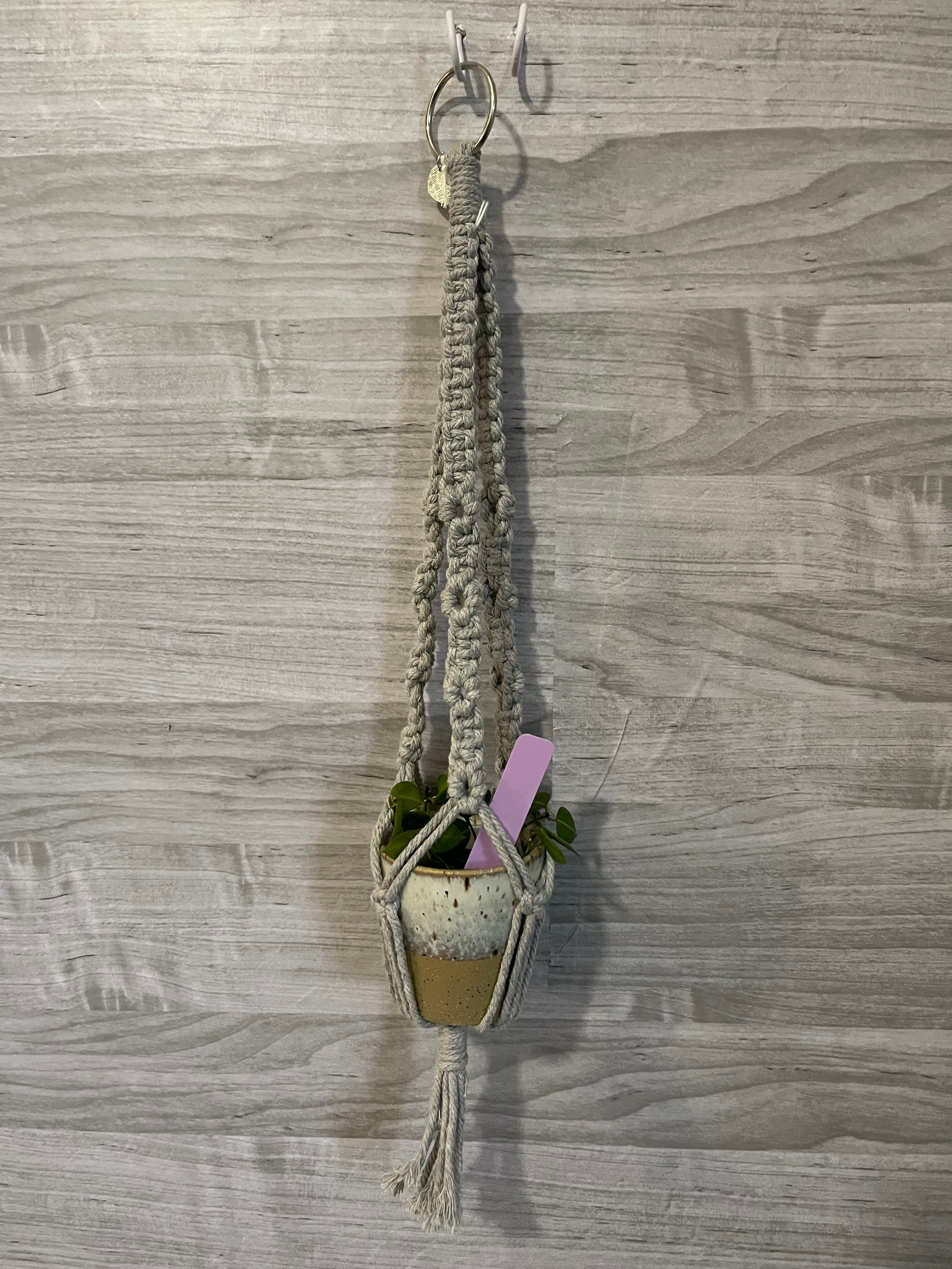 Grey daisy pattern plant hanger (M)