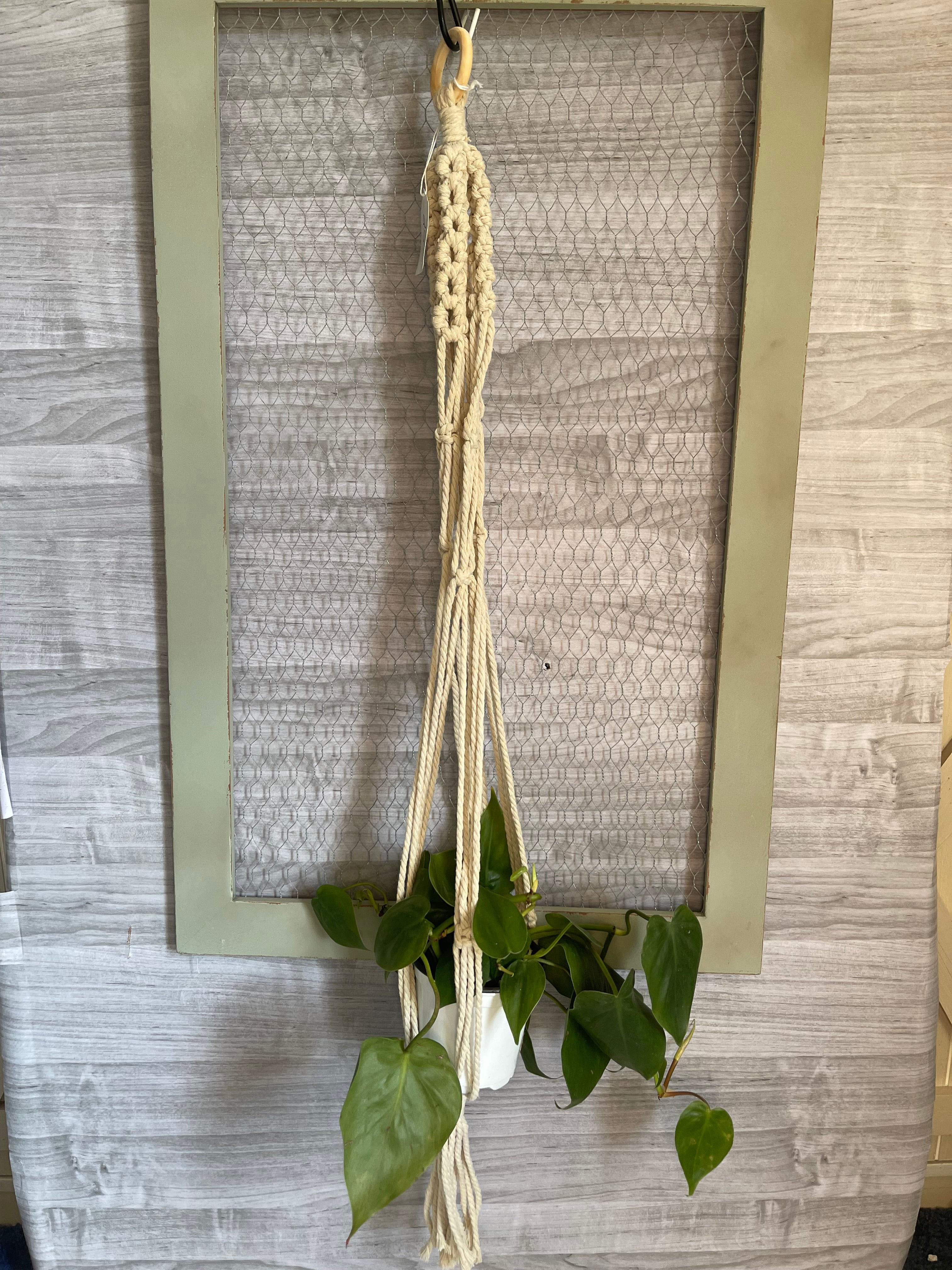 XL neutral plant hanger