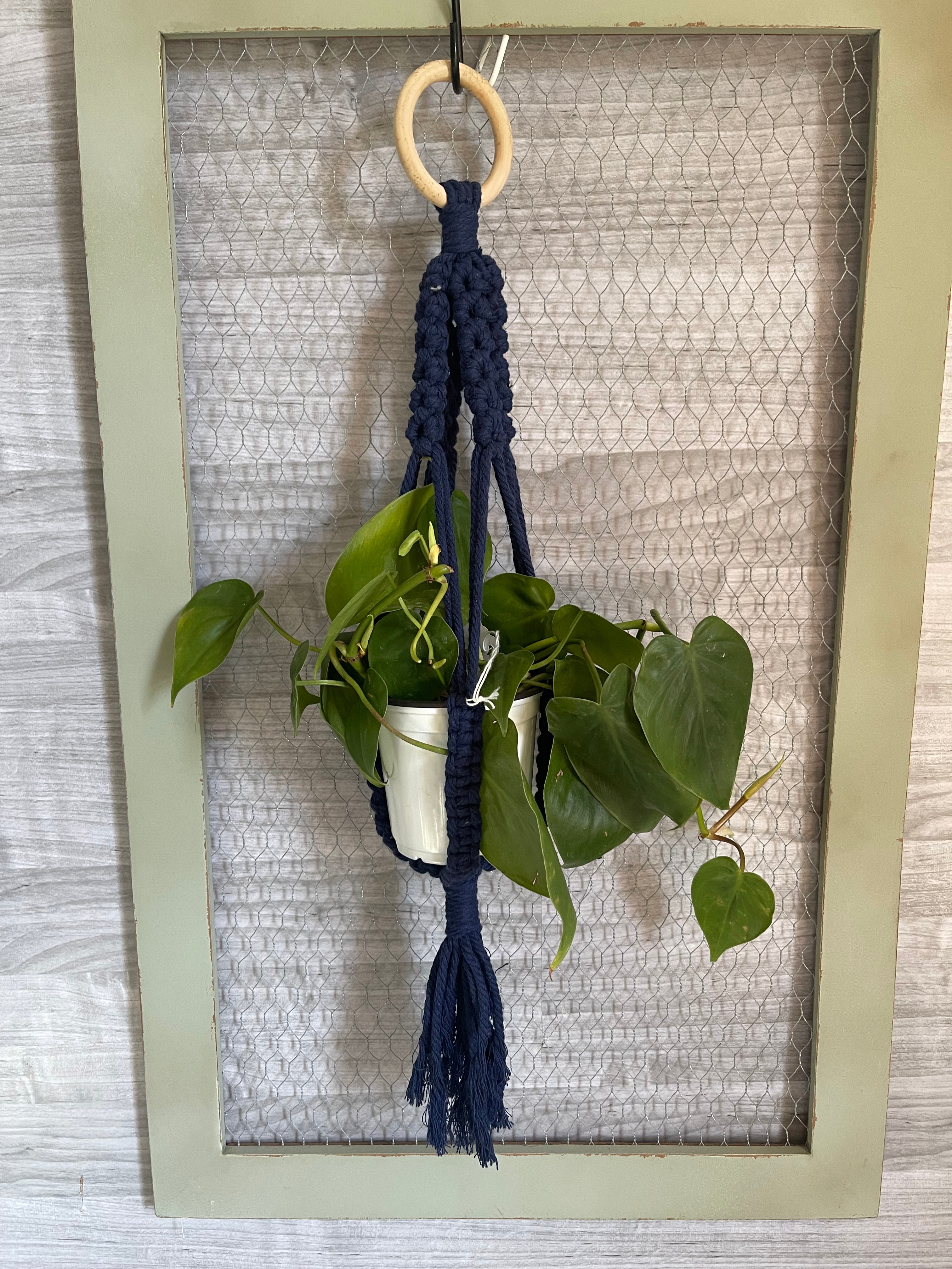 Penn state blue medium macrame plant hanger