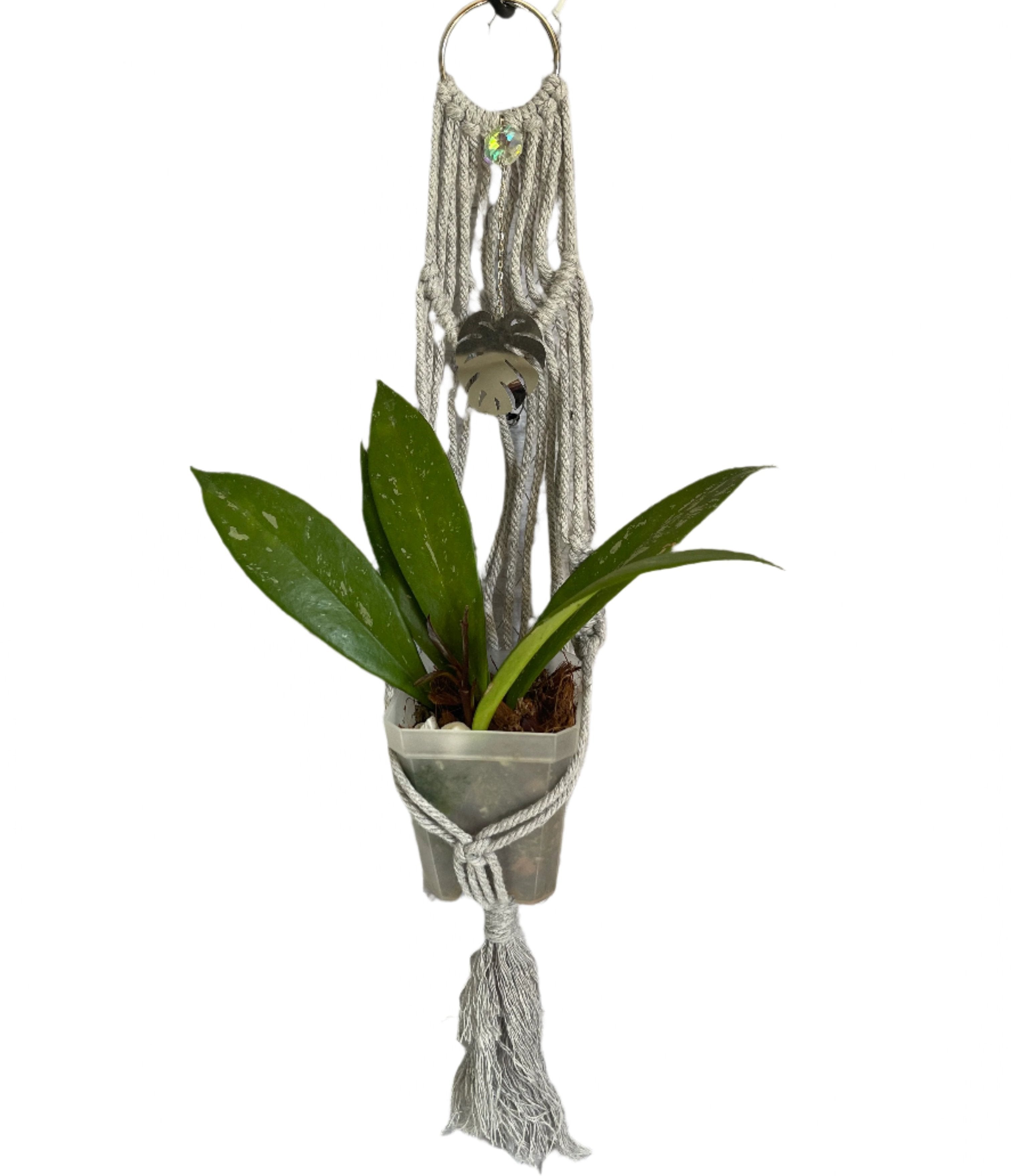 Medium grey basket plant hanger